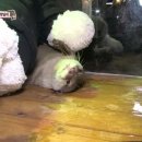 햇님농장 이미지