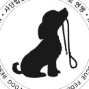 이리온 양재점 이미지