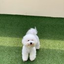 슈라즈하우스 이미지