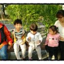 비둘기밧데리 이미지