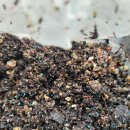 회봉농장 이미지