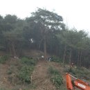 곡성-245 이미지