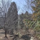 남해편백자연휴양림 | 국립남해편백자연휴양림 숲속의집 굴피나무방 숙박 후기