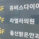 part 16ღ 제모하러 울산 라엘라의원 방문후기