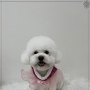 춘복살롱 이미지