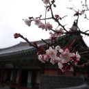 전의를디자인하는사람들 이미지