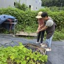 (주)드림팜 이미지