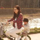 정선목장 이미지