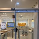 해맑은유치원 | 애견유치원 털로덮인친구들 검단점 ❛내돈내산 / 내동생 보내기❜