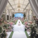 보타닉파크웨딩 이미지