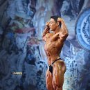 다이나짐 이미지