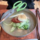 대전맛집 만년동맛집 대전 유성구 맛집 설악칡냉면 내돈내산 솔직후기 솔직별점