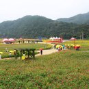 산소카폐 청송정원 (1) 이미지