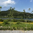 소리의섬 이미지