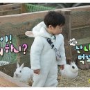 승재농장 이미지