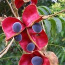 민주노총은 노동조합 본연의 임무에 충실하고 사회적 책임을 실천하라! 이미지