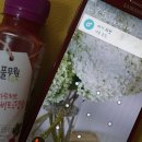 힐링 녹즙