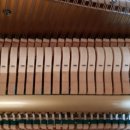 갑오마을3단지대동아파트 이미지