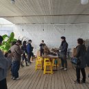 함안박물관 | 🌿 남원 농촌체험관광 네트워크팀, 함안 피카그린 &amp; 박물관 견학 후기! 🌳