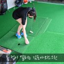 정원야외스크린골프