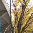 부산국민체육센터 이미지