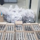 중부-현장-중부-903 이미지