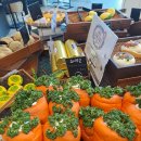 라임테이블 | 용인 불멍 카페 라임그라스, 아이와 브런치 데이트 다녀온 내돈내산 후기