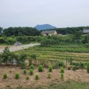 설봉농장 이미지