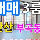 강산부동산중개사무소 이미지