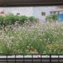 행복한민박 이미지