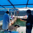 신진좌대 이미지