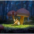 최정형외과의원 이미지