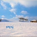 외딴집 - 달성군 달구벌대로 528 | 외딴집