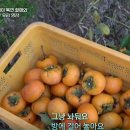 복연농장 이미지