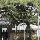 매산서원 이미지