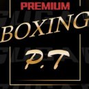 슈가복싱 프리미엄 이미지