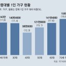 ‘1인 가구’ 800만 넘어 사상최대… 절반은 “외롭다” 호소 이미지