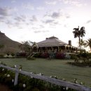 작품3(캥거루) 이미지