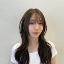 티엔피 이미지