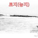 상주부동산