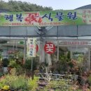 진해꽃식물원 이미지