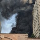 청원스크랩 이미지