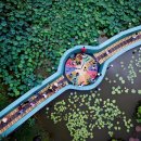 “10만 평 연꽃 바다, 걷다 보면 내 인생의 화양연화”…단 4일간 열리는 무료 축제 이미지