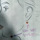 봄눈피우다의원 | 얼굴 실리프팅 원리와 효과, 부작용까지 자세히 알아보기(홍대 봄눈피우다의원)