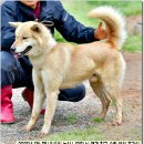 부성농장 이미지