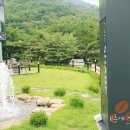 카페새로 이미지
