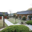 성흥사 Daum카페
