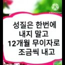 춘옥 Daum카페