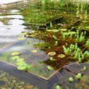 한수농장 이미지