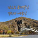 백석탄골부리캠핑장 | 가을을 온전히 느낄 수 있는 경북 캠핑장 추천 &#34;청송 백석탄골부리권역 캠핑장&#34;